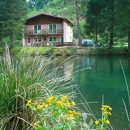 Appartement In A Charming Location On Forellenhof Zorn Valley *