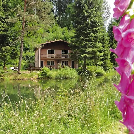 Appartement In A Charming Location On Forellenhof Zorn Valley