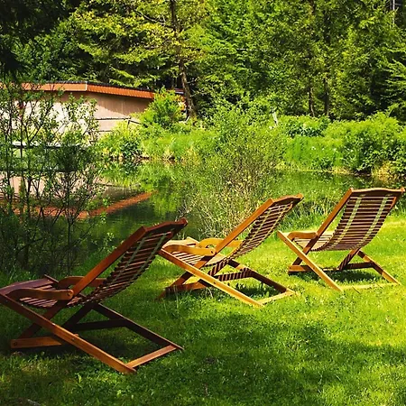 In A Charming Location On Forellenhof, Zorn Valley, Dabo