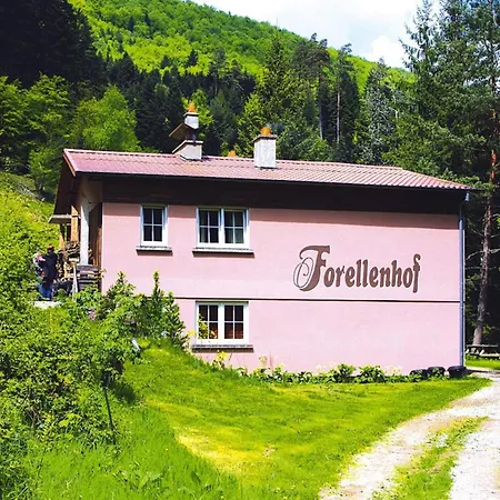In A Charming Location On Forellenhof, Zorn Valley,