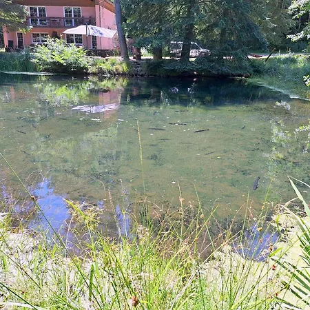 In A Charming Location On Forellenhof, Zorn Valley, Apartman Dabo