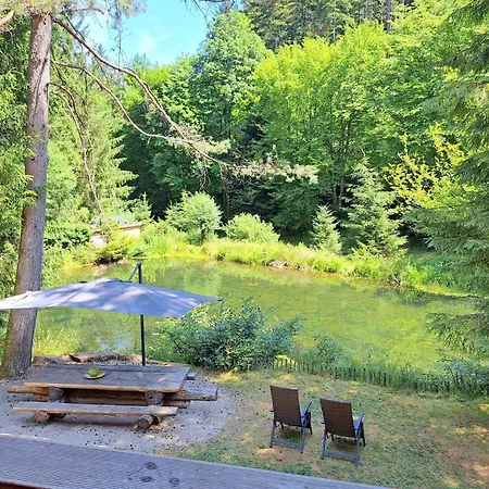 In A Charming Location On Forellenhof, Zorn Valley, アパート Dabo