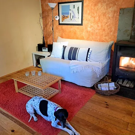 Apartman In A Charming Location On Forellenhof, Zorn Valley,