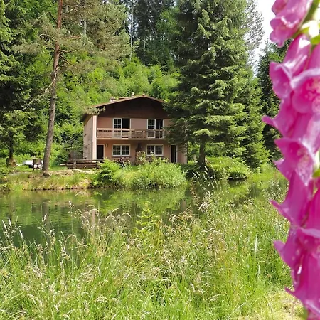 In A Charming Location On Forellenhof, Zorn Valley, アパート *