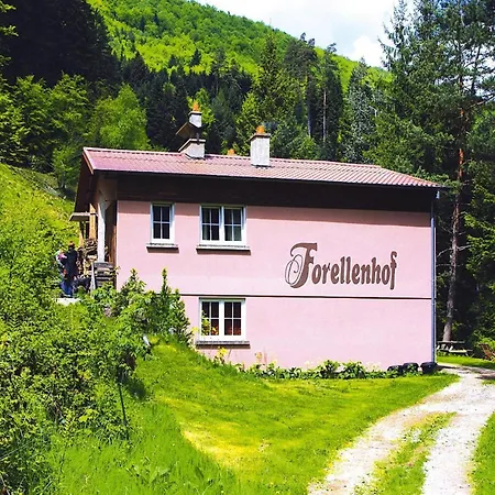 In A Charming Location On Forellenhof, Zorn Valley, アパート *