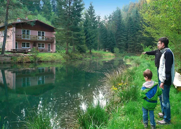 아파트 In A Charming Location On Forellenhof, Zorn Valley,