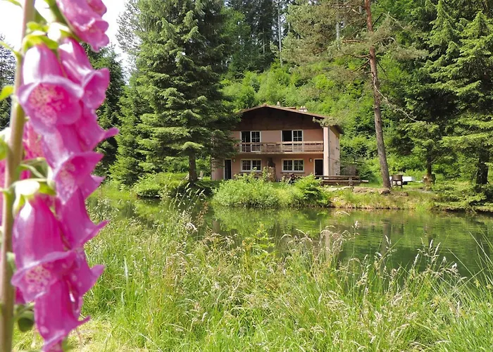 In A Charming Location On Forellenhof, Zorn Valley, 아파트 *