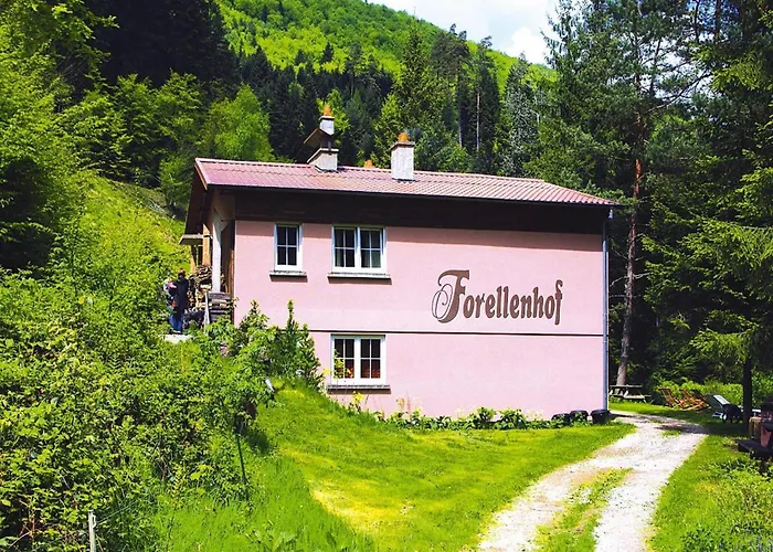 아파트 In A Charming Location On Forellenhof, Zorn Valley, *