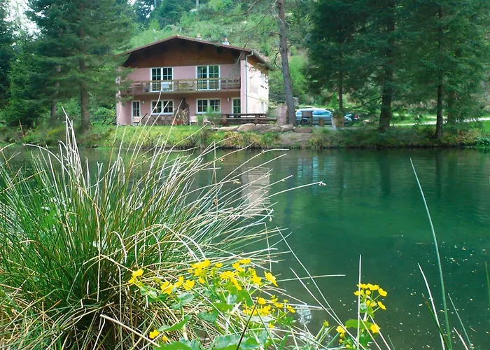 In A Charming Location On Forellenhof, Zorn Valley,