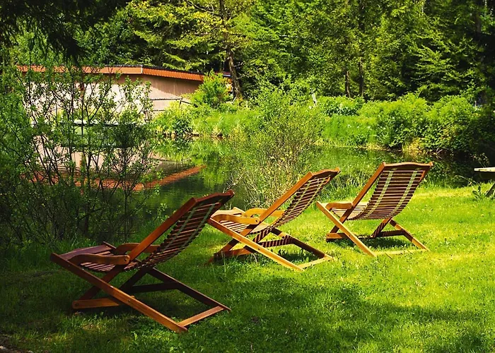 In A Charming Location On Forellenhof, Zorn Valley, 다보