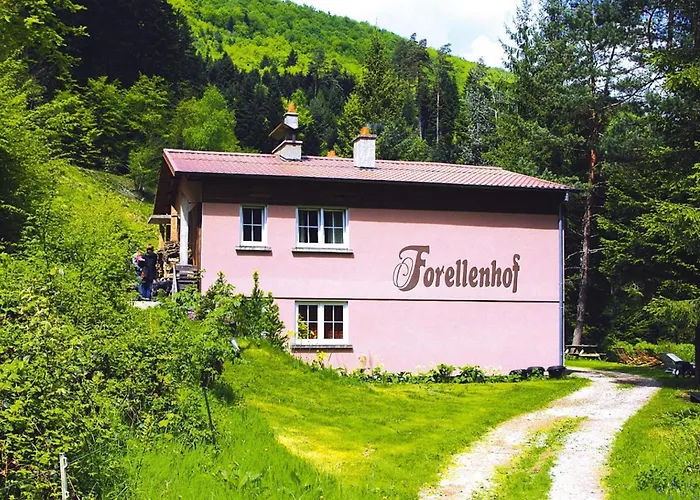 In A Charming Location On Forellenhof, Zorn Valley,