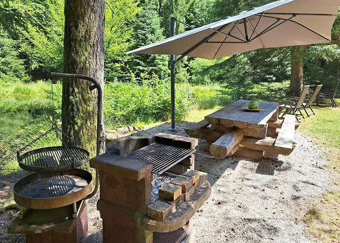 In A Charming Location On Forellenhof, Zorn Valley, *