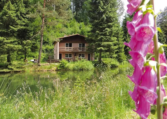 In A Charming Location On Forellenhof, Zorn Valley, 아파트 *